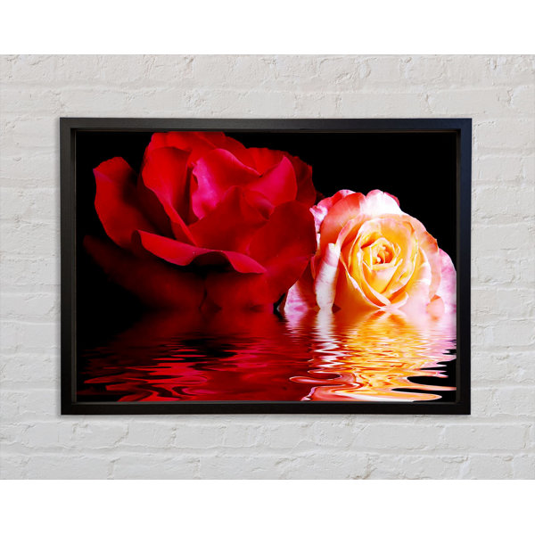 Magisch Schöne Wand Als Leinwandbild | Qualitätsdruck